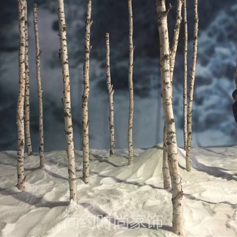 原木白桦树装饰树段树桩树枝白桦树干橱窗隔断玄关各类活动布置树