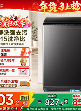 小天鹅波轮洗衣机全自动家用小型8/10/12公斤一级能效8kg