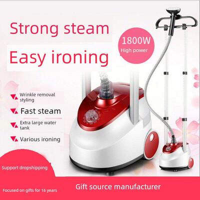 新型双极烫衣机家用大功率除皱烫衣机手持式蒸汽电熨斗单极烫衣机