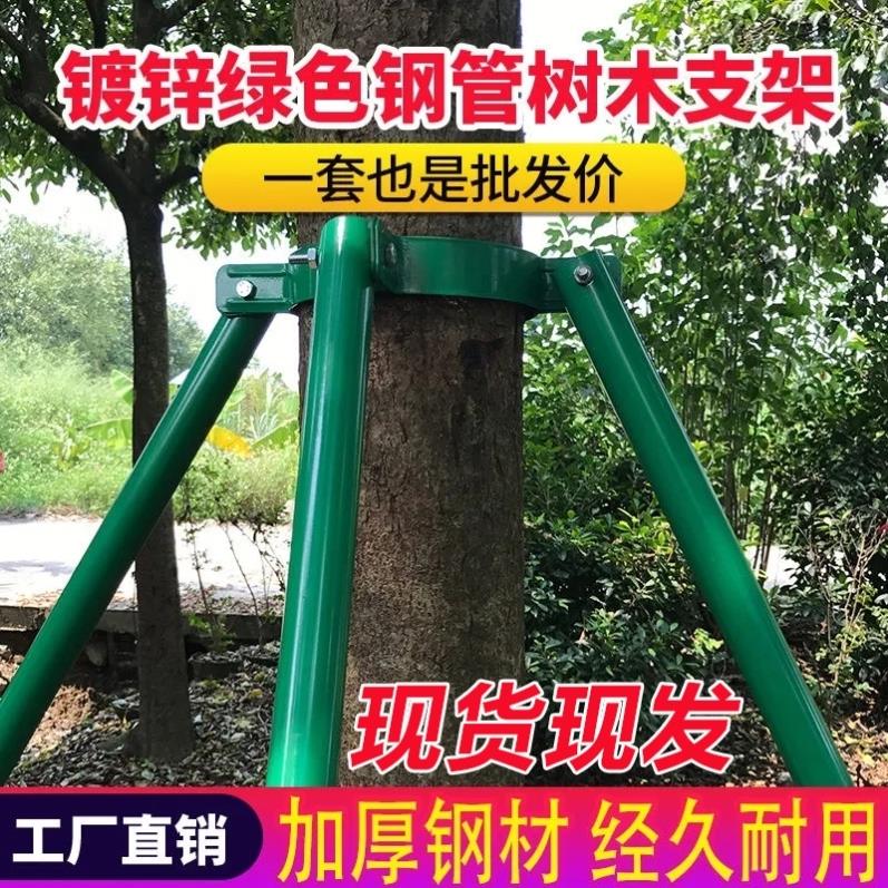 钢管树木支撑架园艺固定器园林防风大树支撑杆绿化苗木支架树撑