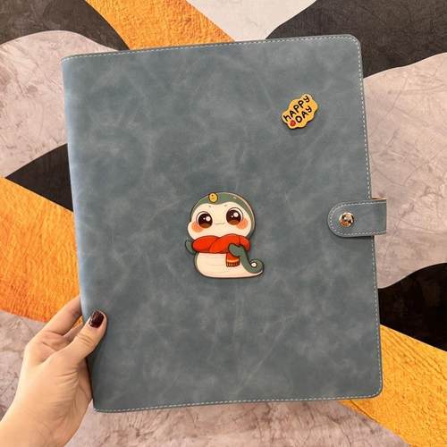 孕检收纳册蛇宝宝a4a5活页软皮孕妈孕期产检b超档案册怀孕记录册