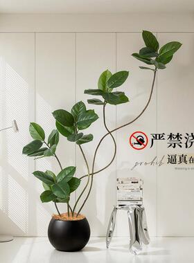 彷真绿色植物黑金刚橡皮树室内大型高端轻奢落地装饰摆饰客厅假树