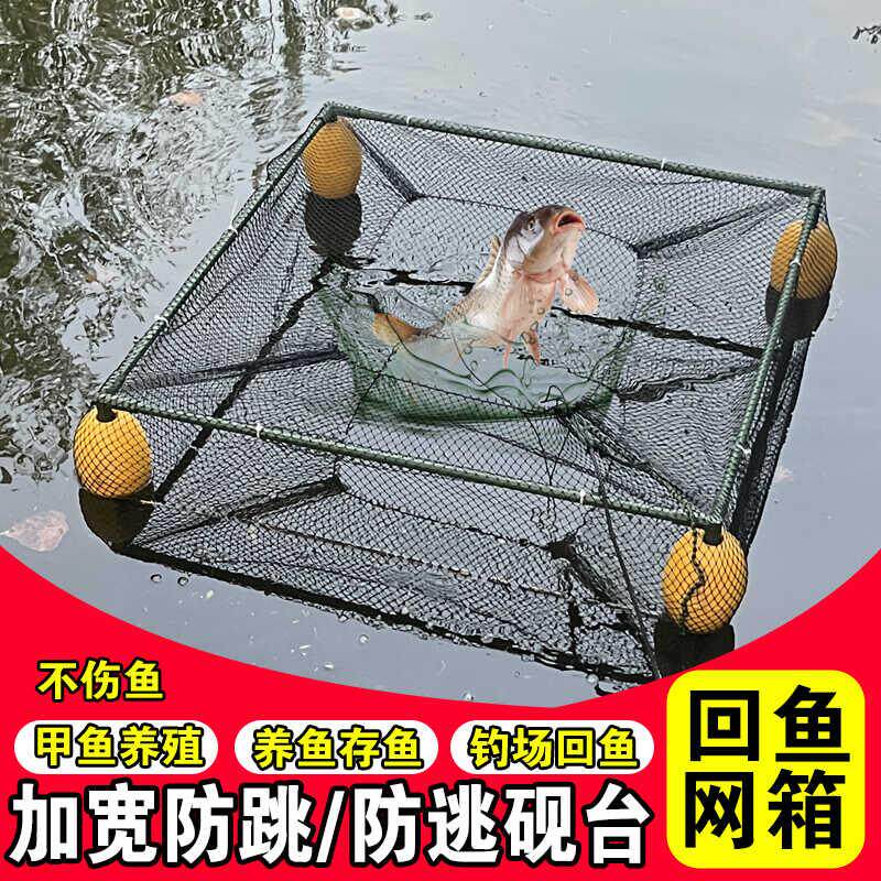 新款立体支架养鱼箱网熟料养存鱼有结箱网不伤鱼大鱼塘钓漂浮鱼护