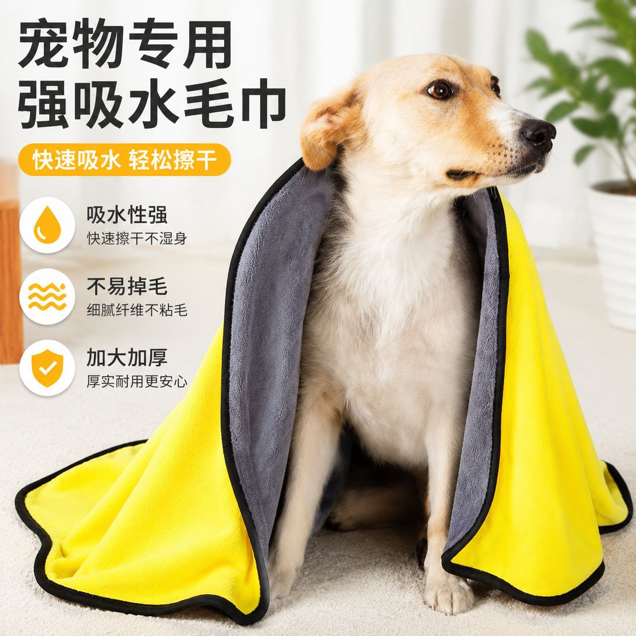 宠物专用加厚速干吸水毛巾泰迪款