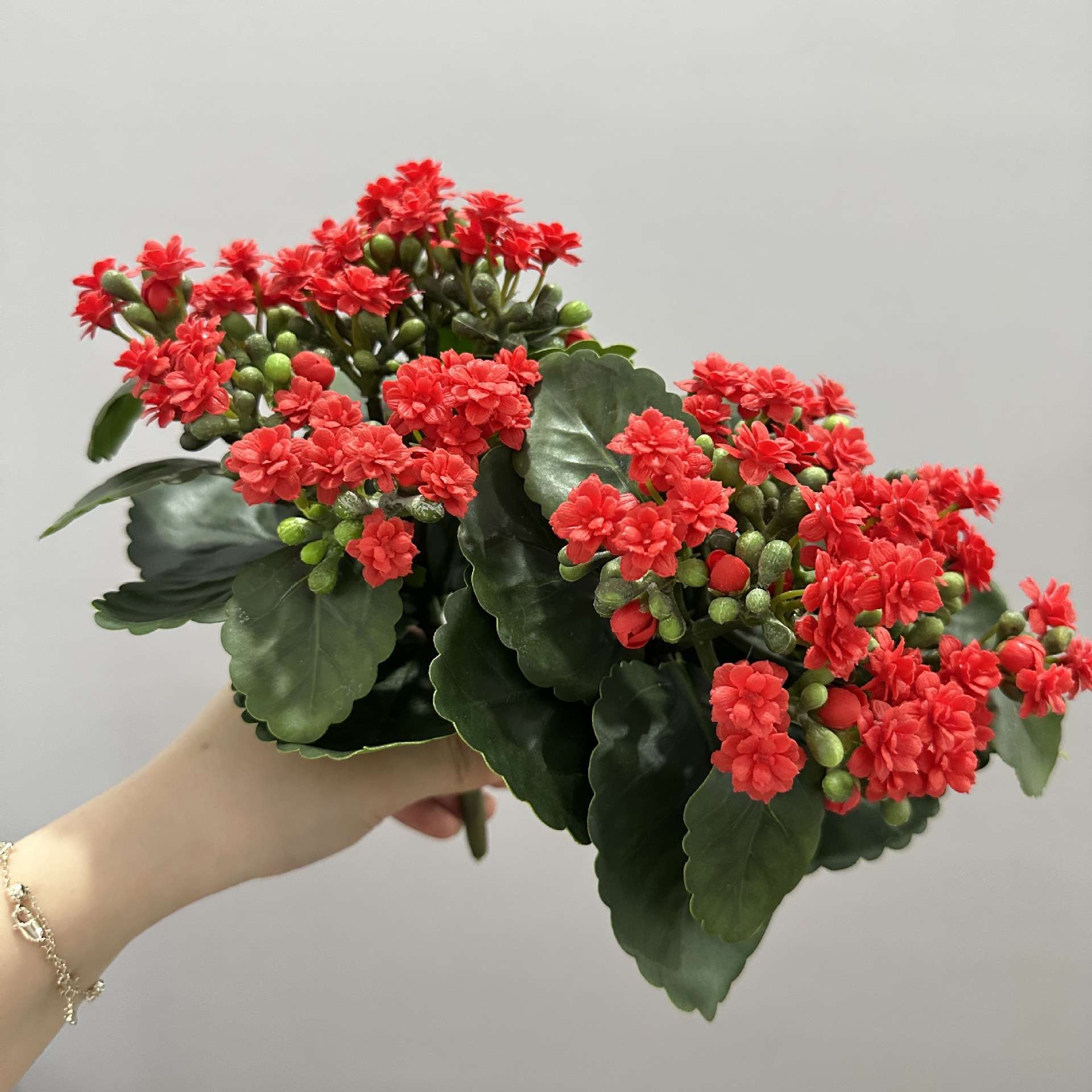 仿真长寿花盆景地插花带花苞家居