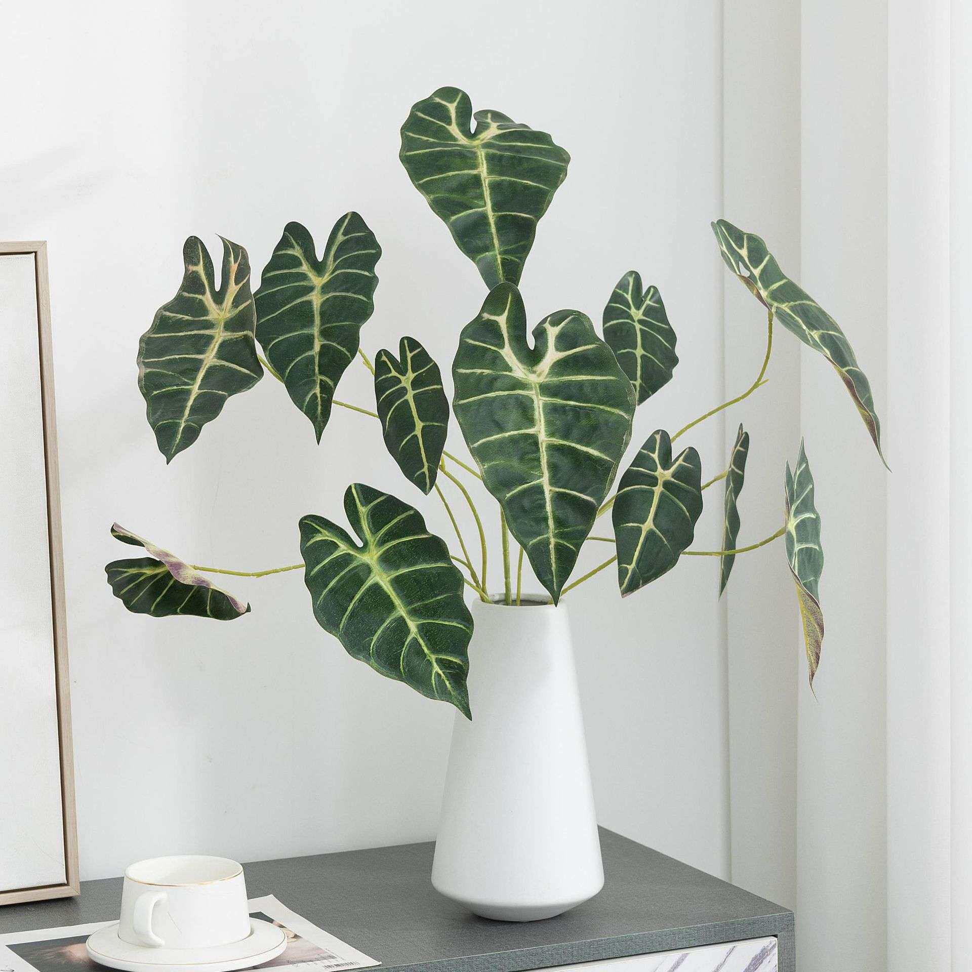 仿真黑孔雀叶海芋叶绿植插花叶材图片