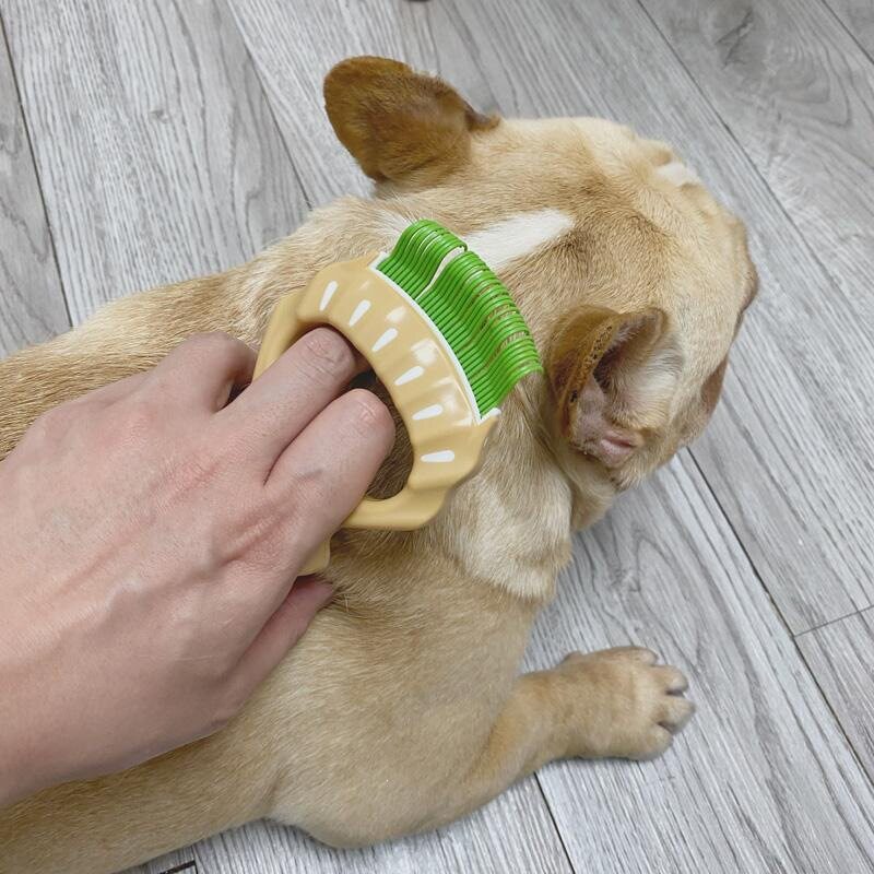 宠物专用贝壳梳子去浮毛撸猫狗