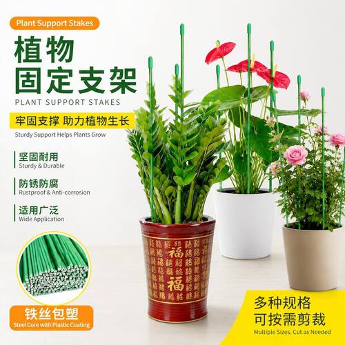 植物固定杆葡萄爬藤架园艺支柱