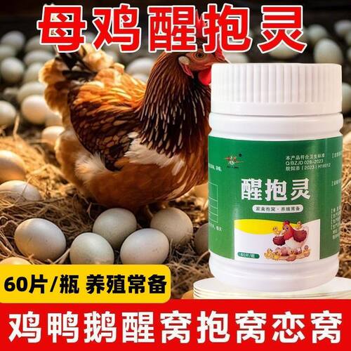 醒抱灵鸡专用醒抱剂专治鸡鸭鹅不