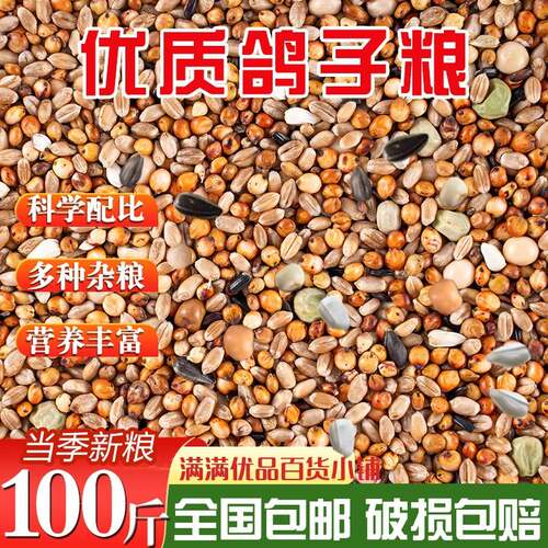 100斤玉米营养鸽粮｜肉鸽信鸽50
