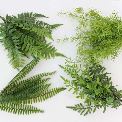 波斯蕨草仿生植物室内绿化景观