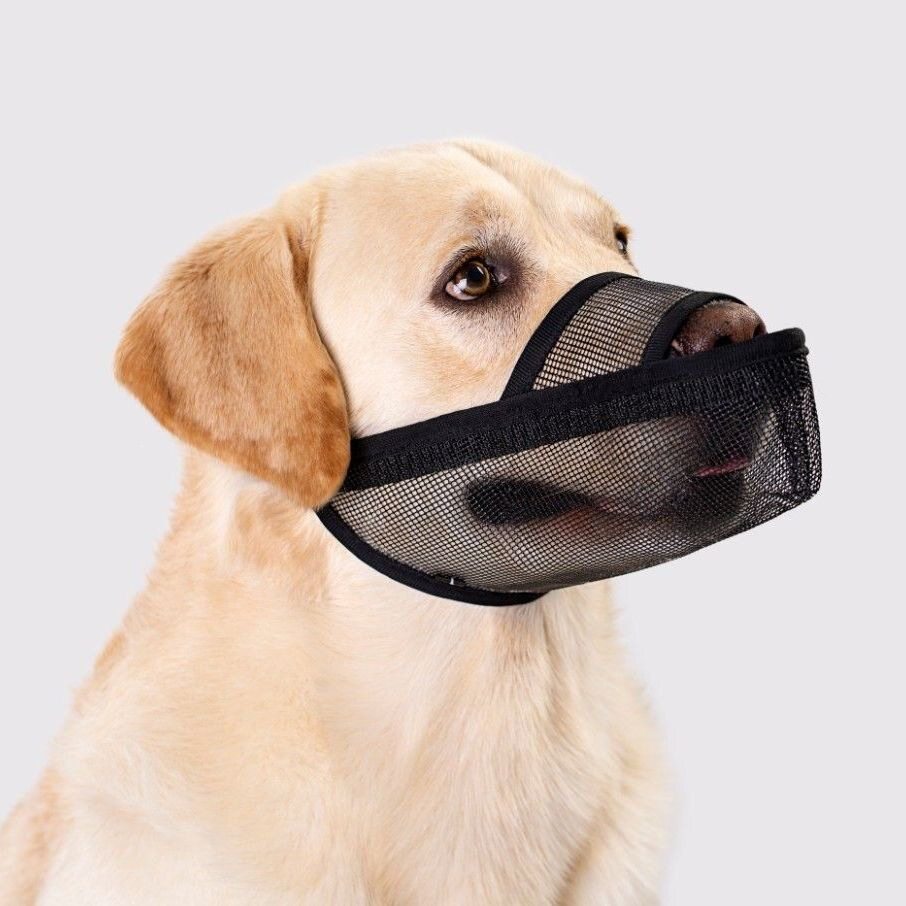 长嘴犬专用透气网格狗嘴套中小犬