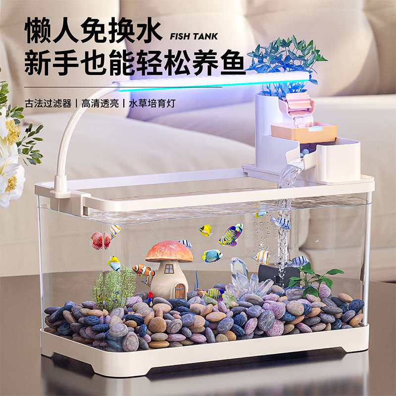 2025新款桌面生态鱼缸｜客厅带+