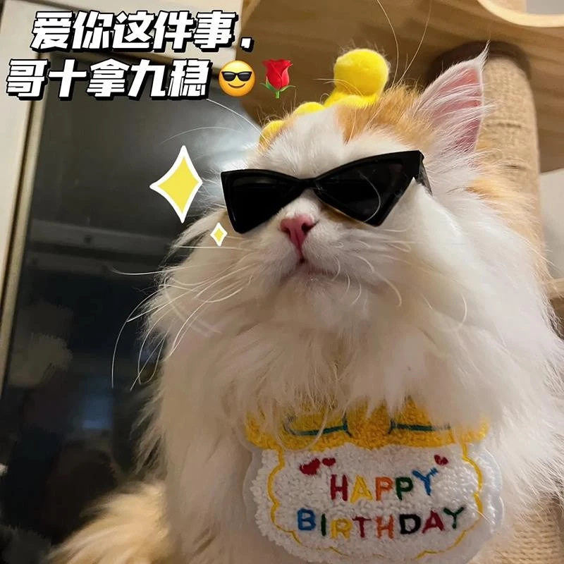 小型宠物酷炫三角眼镜猫咪狗狗小