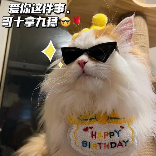小型宠物酷炫三角眼镜猫咪狗狗小