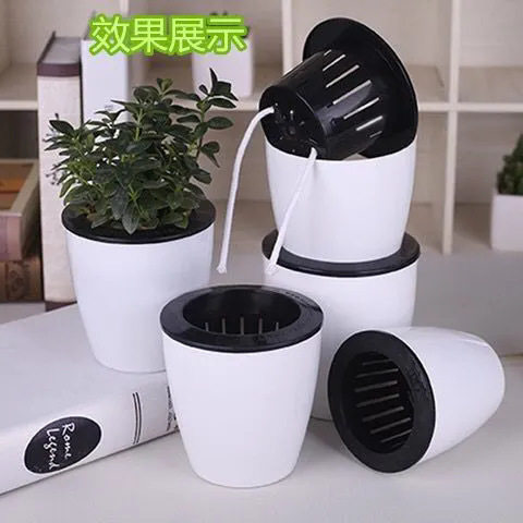 懒人花盆自动吸水绿萝用懒人盆绿植特价吊兰水培自吸盆塑料吸水盆