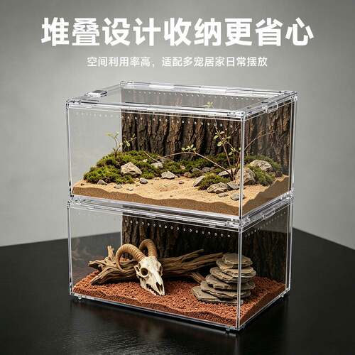 睫角守宫专用生态饲养箱｜沙漠