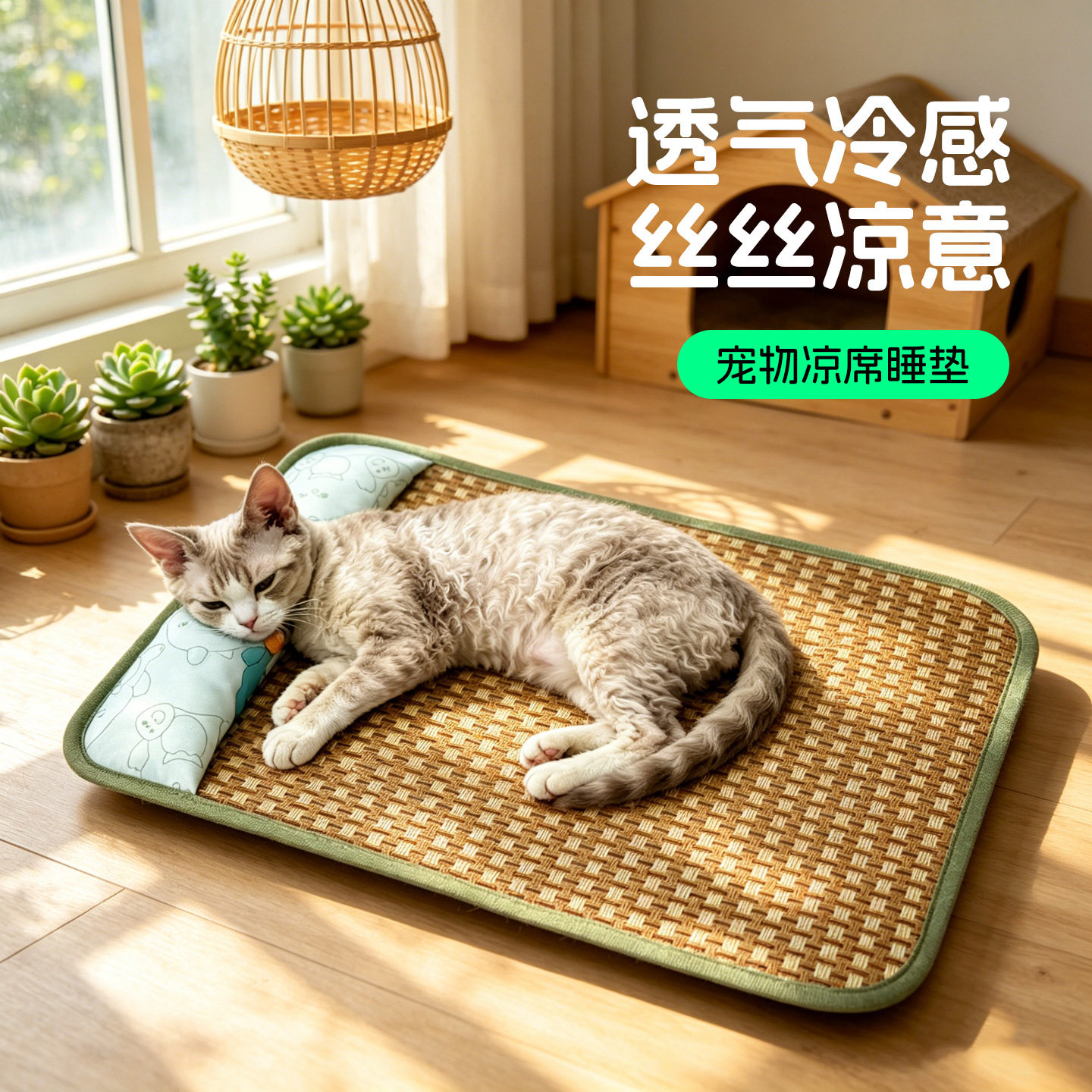 猫咪专用夏季凉席睡枕垫|宠物等