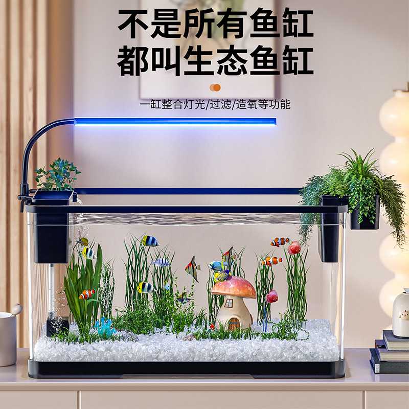 2025新款桌面鱼缸过滤制氧一体机