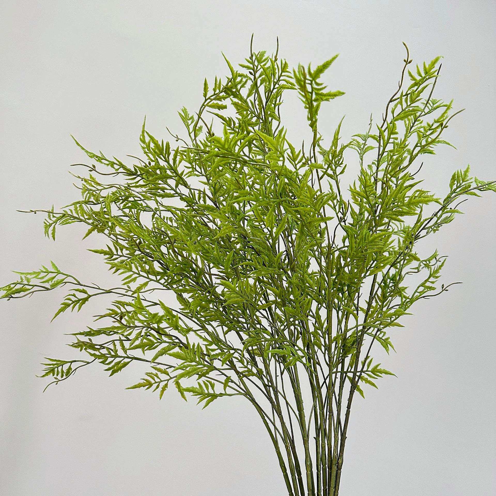 仿真波斯叶海金沙蕨叶蕨类植物绿植软胶家居装饰美陈造景插花花材