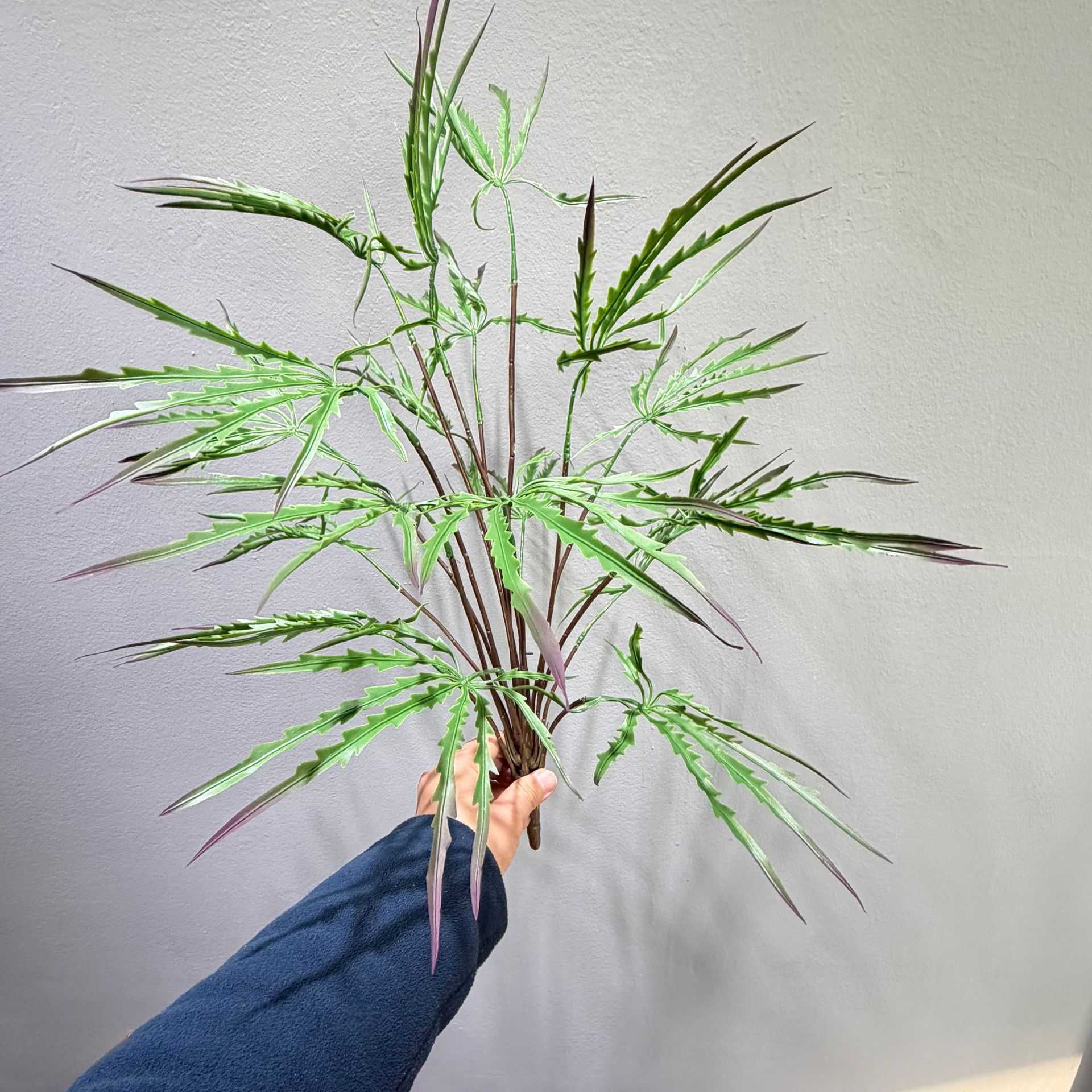 仿真植物孔雀木盆栽鸡爪枫叶摆件