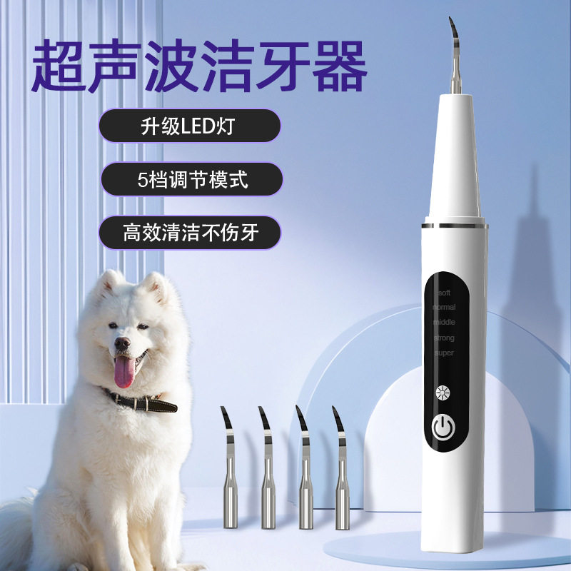 宠物专用超声波洗牙器高效去除