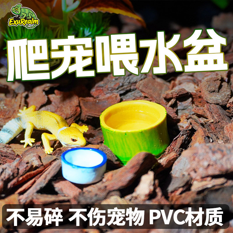 爬宠幼体专用竹制瓷质水盆蟋蟀