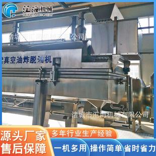 诸生城VF果蔬脆片低温空油炸机产厂家 秋葵产脆生设备生ZYZL-100