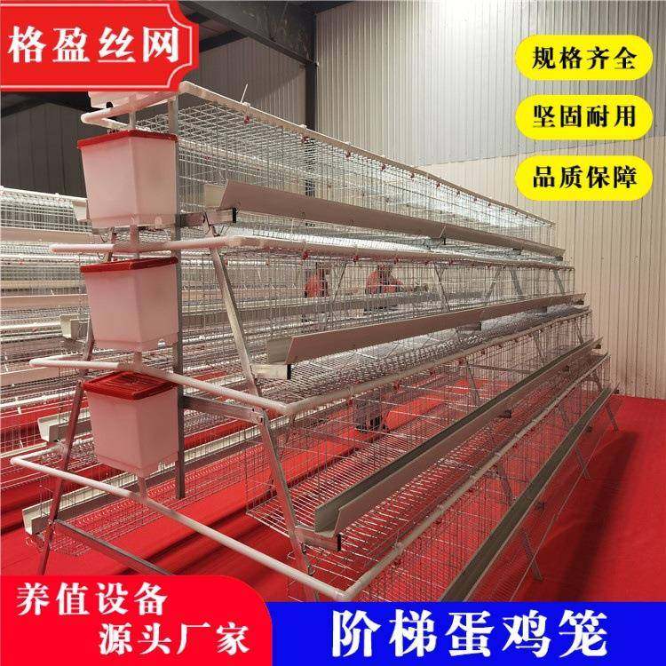 生产厂家各种规格阶梯蛋鸡笼冷热镀锌结实耐用,农机/农具/农膜,农用防护器具,淘宝优惠券,粉丝福利购,淘宝优惠卷