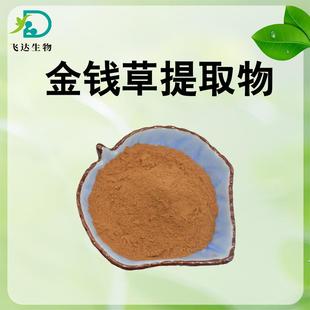 飞达供应 金钱草提取物10 食品级工厂现货量大从优 免费拿样