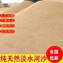 天然河沙河砂沙子养花用种植种花用实验用粗沙细沙黄沙通用营养土