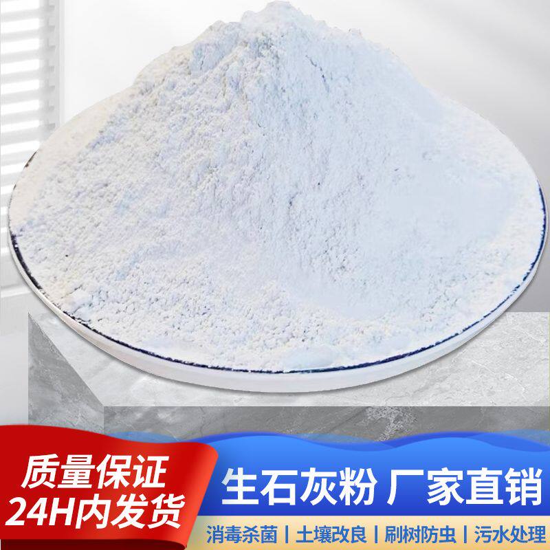 生石灰粉10斤除臭吸霉防潮