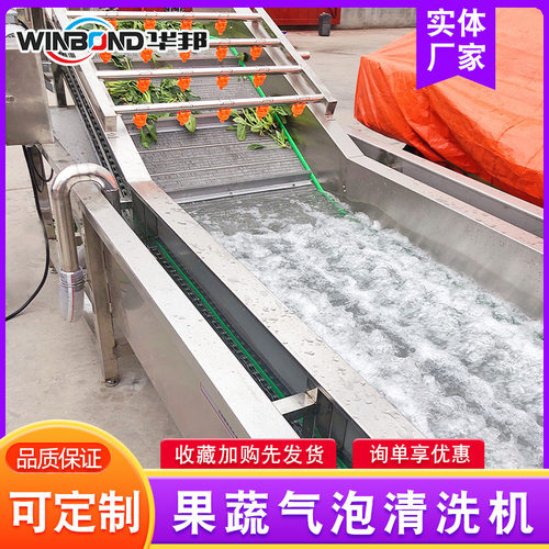瓜果蔬菜气泡清洗机 气泡冲浪喷淋洗菜机 菠菜果蔬清洗机设备