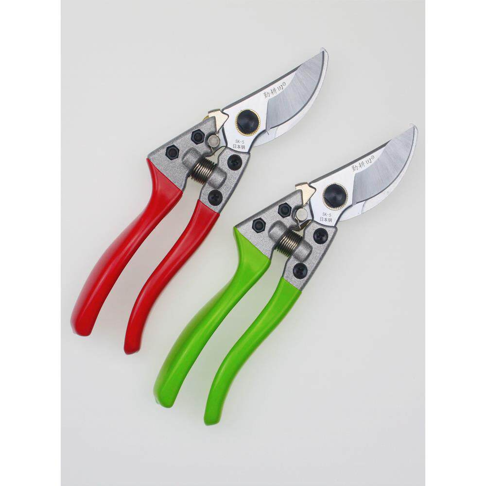 园艺剪刀藤木树枝剪家用枝剪花枝剪日本进口SK5钢剪果树修枝剪子