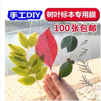 叶脉标本画干花树叶自封粘贴封照片膜相片膜照片塑封膜冷裱膜胶纸