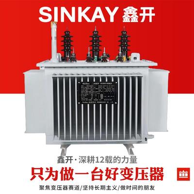 250kva油浸式变压器500容量630功率315型号400kw负载800增容1000