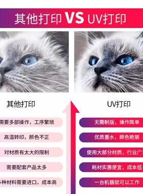 UV打印机机小型TS1板平印衣服布图案器短袖帆纺织服装数码直喷印