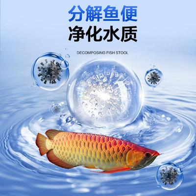 硝细菌水活菌鱼池稳养定20102315剂鱼净水套餐水化族净剂硝化细菌