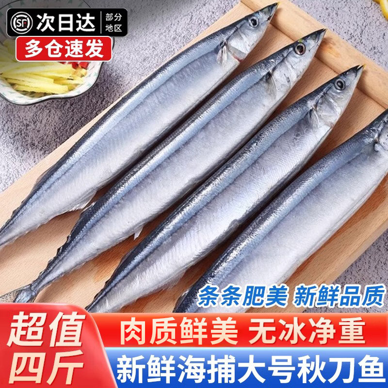 秋刀鱼新鲜特大秋刀鱼