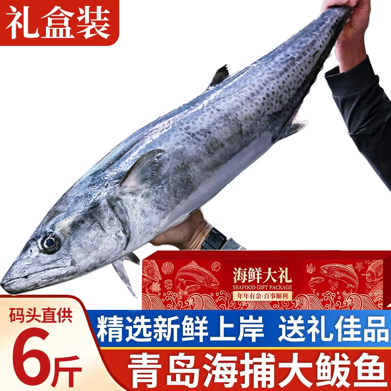 青岛大鲅鱼礼盒装鲐鲅鱼新鲜冷冻整条马鲛鱼鲜活速冻马友鱼马交鱼