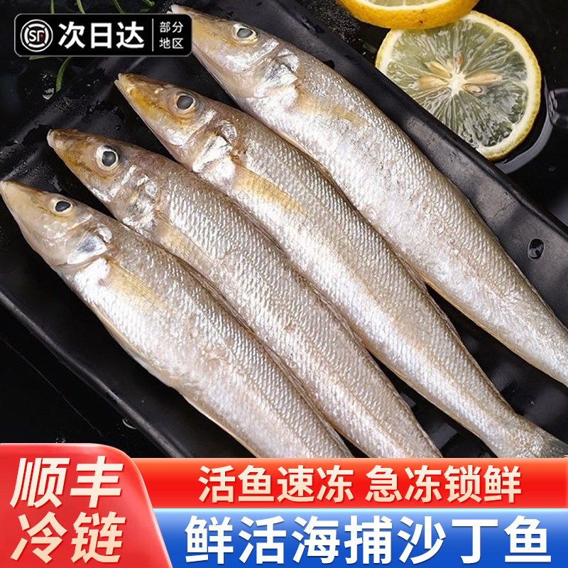 青岛本地沙丁鱼2斤新鲜冷冻沙尖鱼海鲜水产速冻海鲜水产烧烤食材