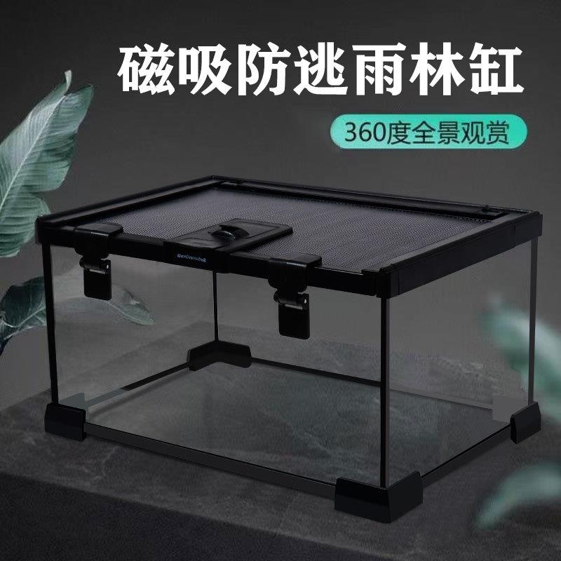 养泥鳅专用缸爬宠饲养箱蜥蜴角蛙寄居蟹乌龟玻璃雨林缸全透生态缸