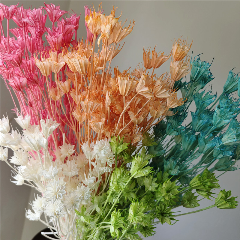 八角花干花森系复古插花花材手工diy材料自然田园永生花