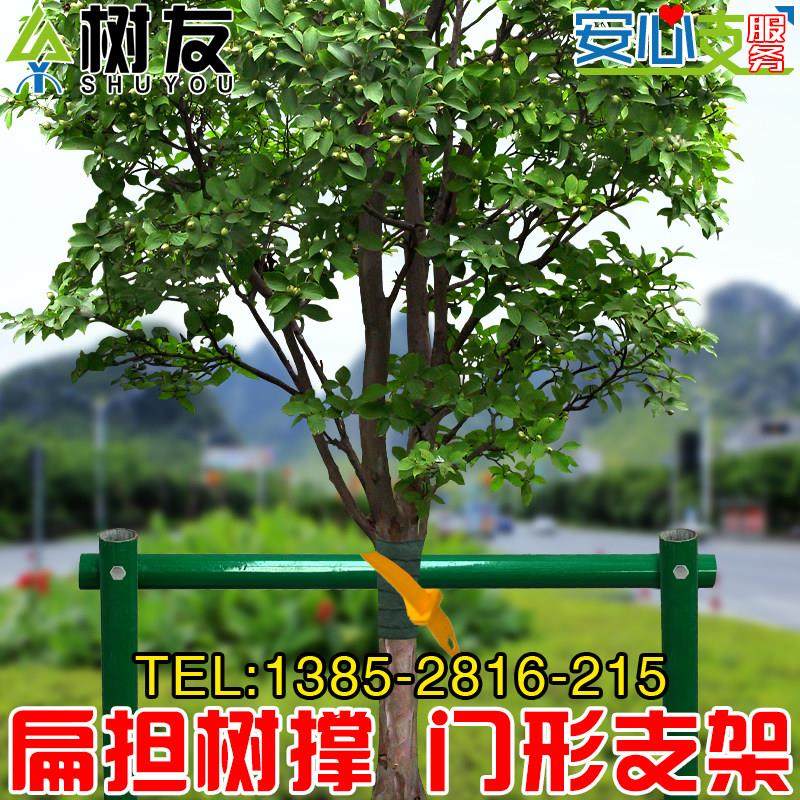园林树木支撑门字形支架树木扁担支撑固定器绿色镀锌钢管乔木抱箍,农用物资,苗木固定器/支撑器,淘宝优惠券,粉丝福利购,淘宝优惠卷