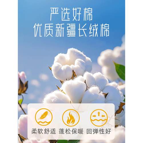 新疆棉花被长绒棉被芯纯棉花被子全棉冬被棉絮学生宿舍床垫被褥子