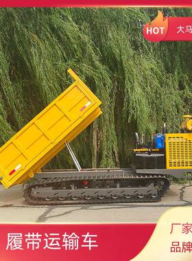 6吨柴油动力履带式运输自卸车 河道拉沙石履带车 果园履带运输车
