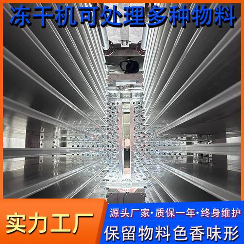 源头厂家冻干商用大型脱HIB真空冷冻干机燥水机水果蔬菜冻干流水