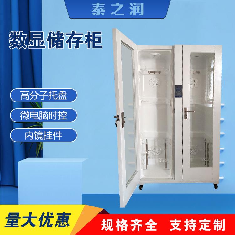 电脑数显内微镜DX-SX-II内窥镜肠纤支镜软式内镜门双镜胃门储存柜