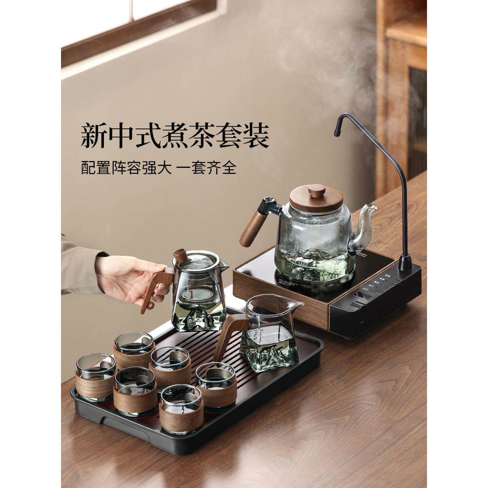 玻璃茶壶茶具电瓷炉专用保健沸水煮茶壶功夫茶具家用2025新款