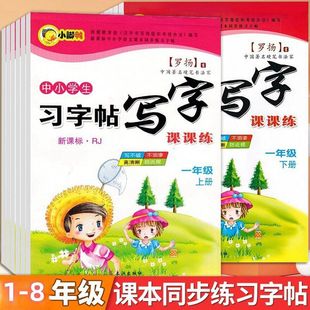 罗扬同步字帖1-8年级上册下册语文人教版练字帖小学生专用写字帖
